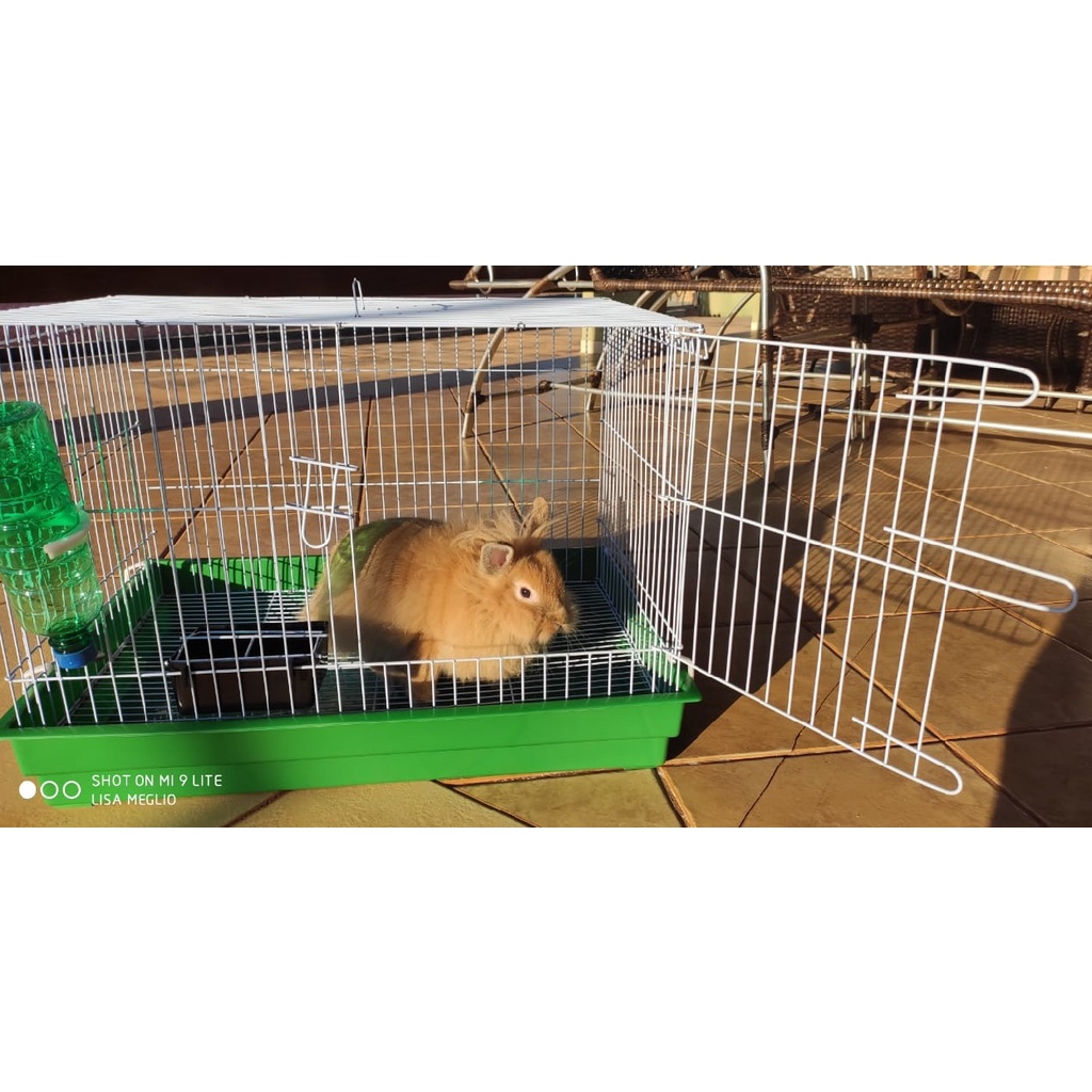 Gaiola Coelho Porquinho da India Chinchila Roedores Desmontavel Porta Frontal Completa Bebedouro 290ml e Comedouro 500ml em Oferta na Shopee