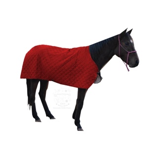Capa De Frio Para Cavalo De Luxo preta matelada e forrado e com fechos de ajuste em Oferta na Shopee