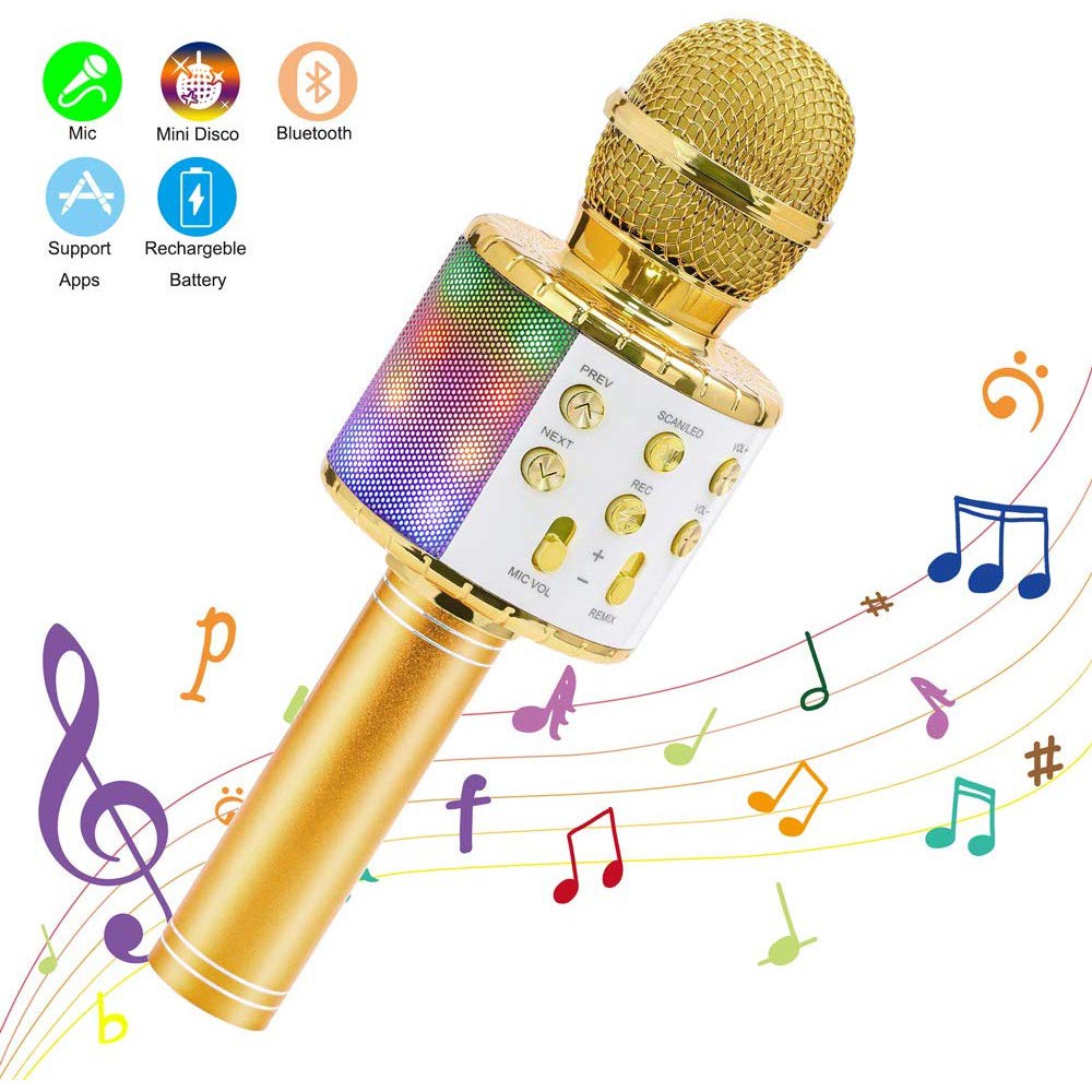 Microphones Karaoké sans Fil Haut-Parleur Bluetooth Portable KTV Player Mini Home KTV Musique Système de Jeu et de Chant pour iPhone/Android Smartphone/Tablet 