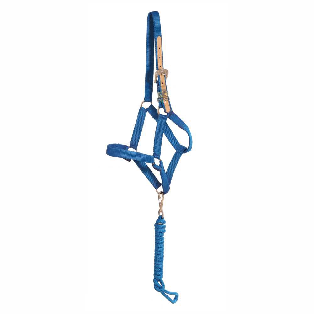Cabresto Reforçado Personalizado Para Cavalo - Cor Azul