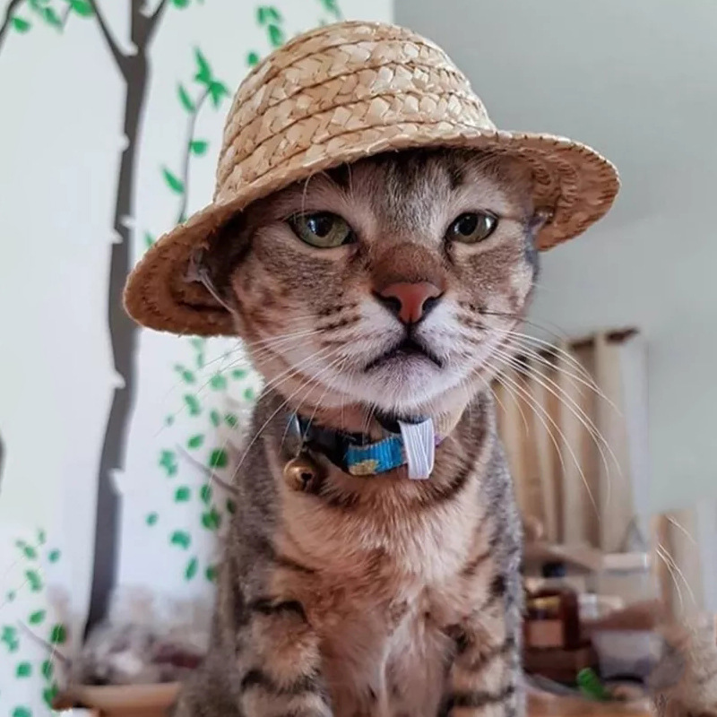 Chapéu De Gato E Cachorro Tecido à Mão Bonito Para Animais De Estimação Primavera E Verão Respirável Retrô Sombra Agricultor Acessórios Chapéu De Palha