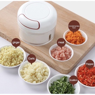 Mini Processador De Alimento Triturador Manual De Alho