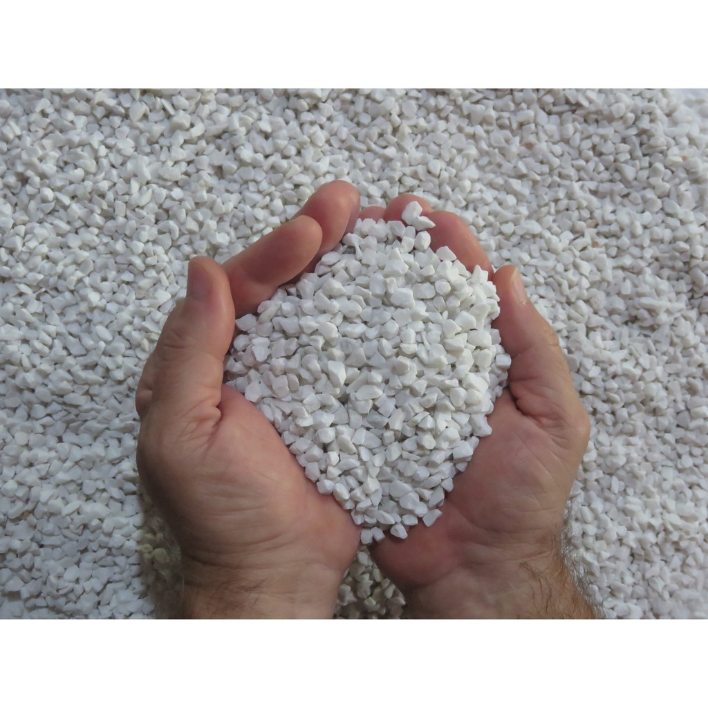 Meio Kg Pedrinha branca decorativa para vasos de suculenta e cactos plantas jardim