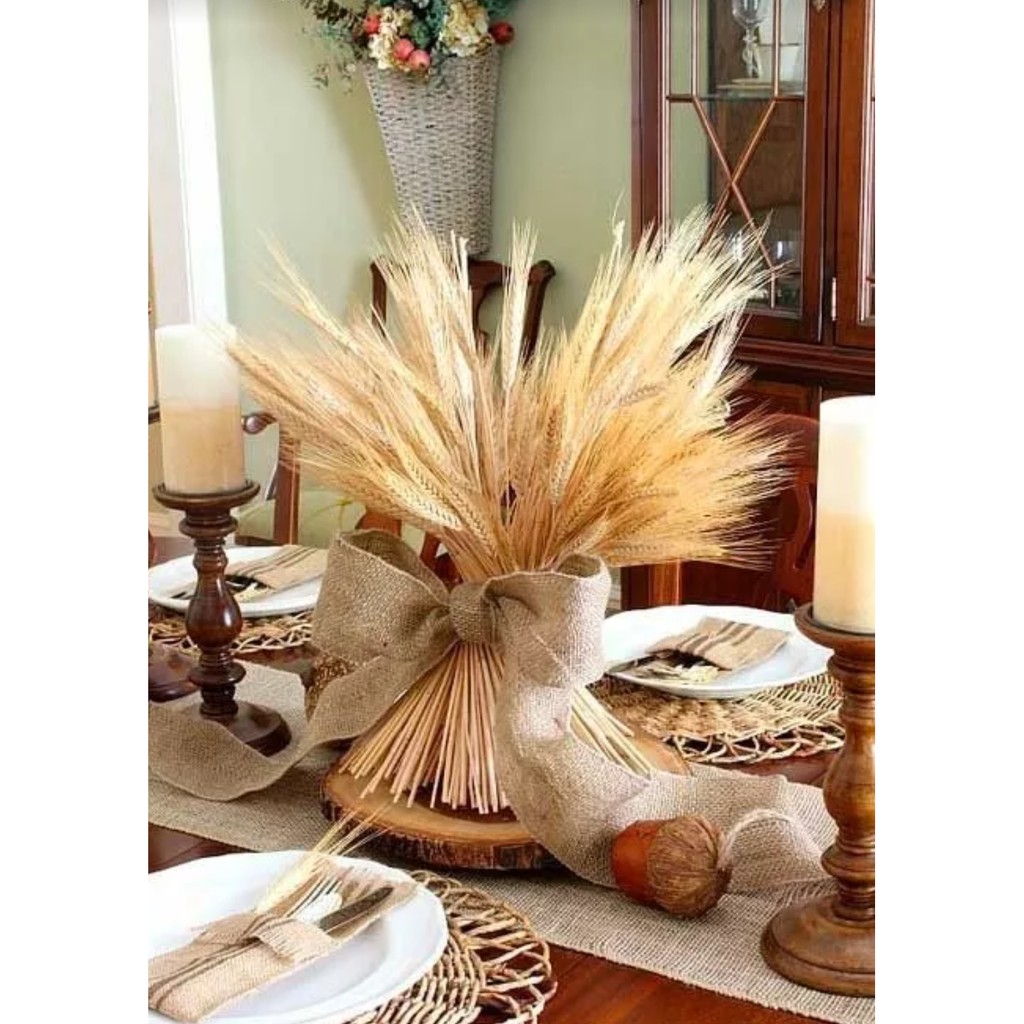 200 Trigo seco Decoração Mesa Casamento Festa 15 anos Enfeite Presente Convite Buque