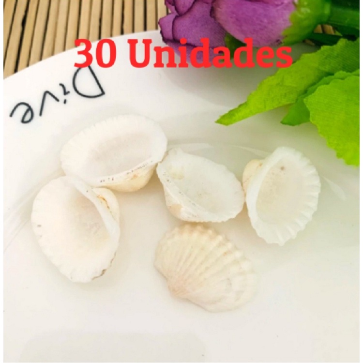 30 Conchinhas do Mar - Conchas Para Lembrancinhas - Festas - Conchas Decorativas - 30 Unidades