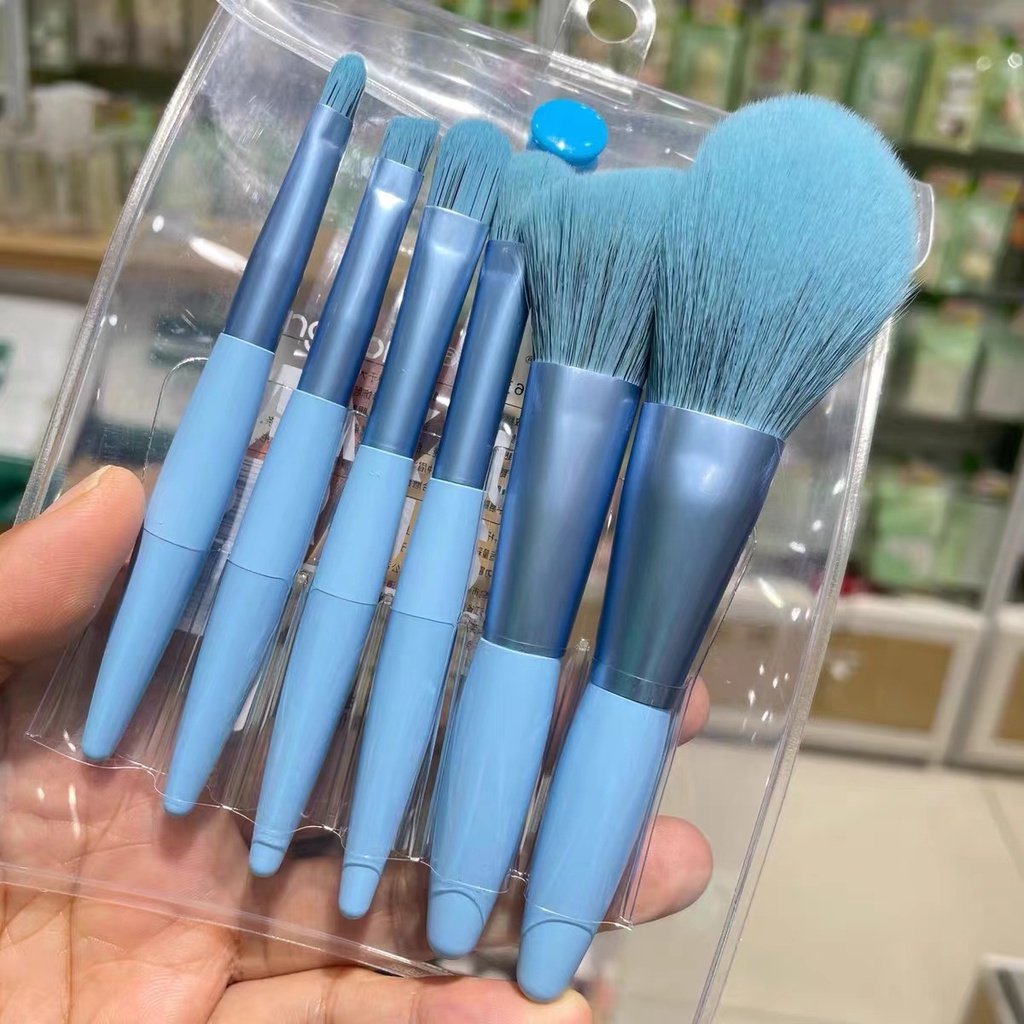 Kit 6 Peças Conjunto De Pincéis De Maquiagem com Estojo Transparente Para Viagem(lolibiju)