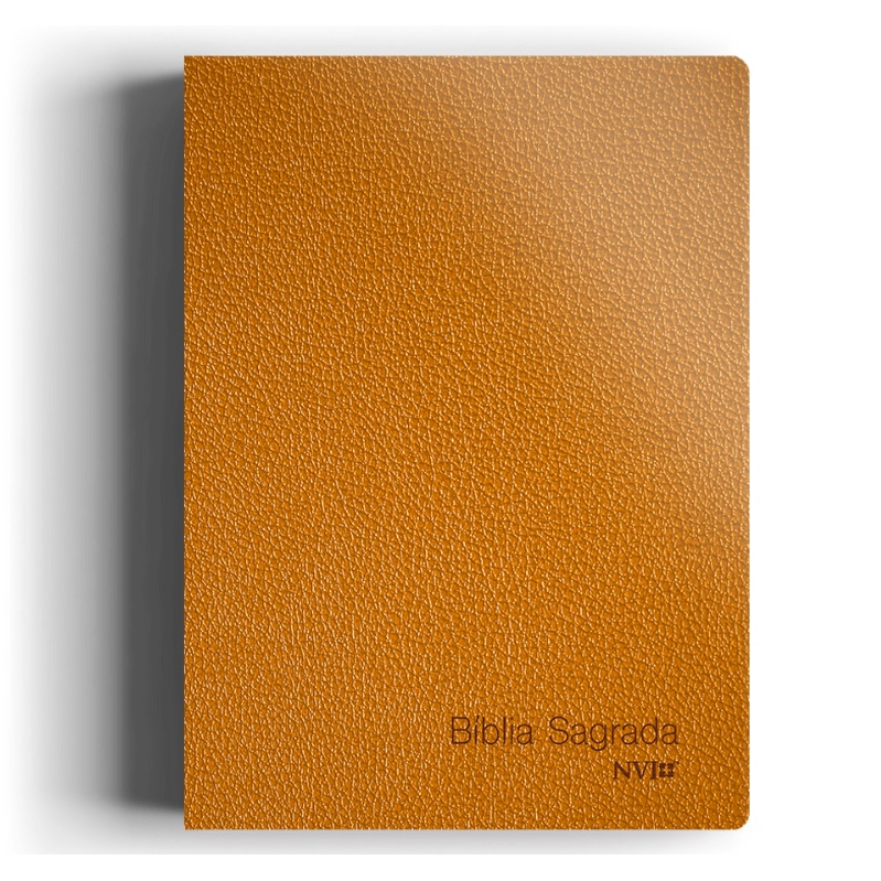 Bíblia Sagrada Slim Compacta | NVI | Capa Luxo Laranja em Oferta na Shopee