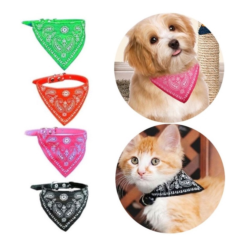 Coleira Colar com Lenco Bandana Caes E Gatos Tamanho Pequeno Pet Novidade para Cachorro Porte Pequeno Medio Gato Coleira Bandana Pet Couro Para Cachorros Porte Medio Tam P | Shopee Brasil