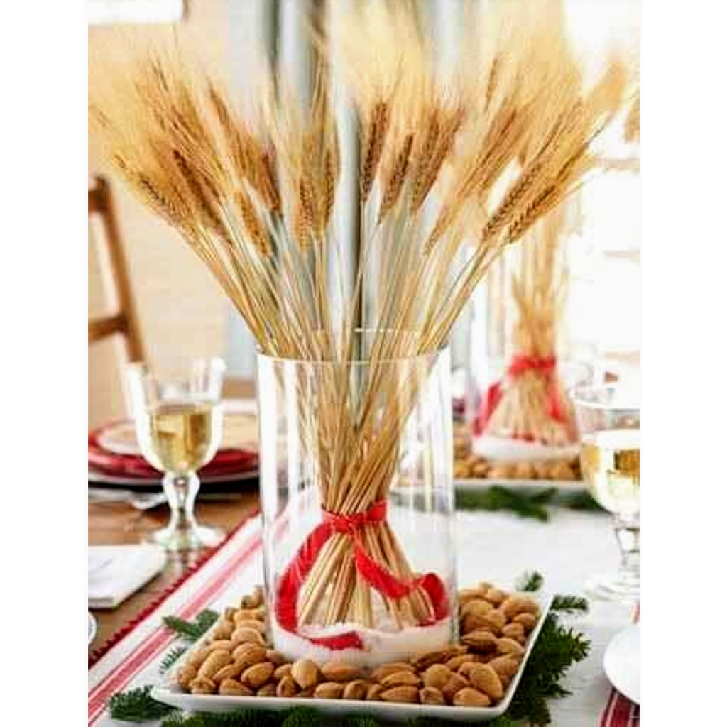 Trigo seco desidratado 40 unidades Para casamento decoração mesa