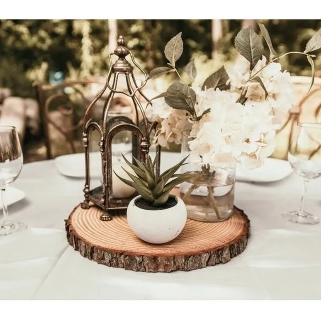 Bolacha Tronco Madeira: Onde Comprar | BuscaProdutos