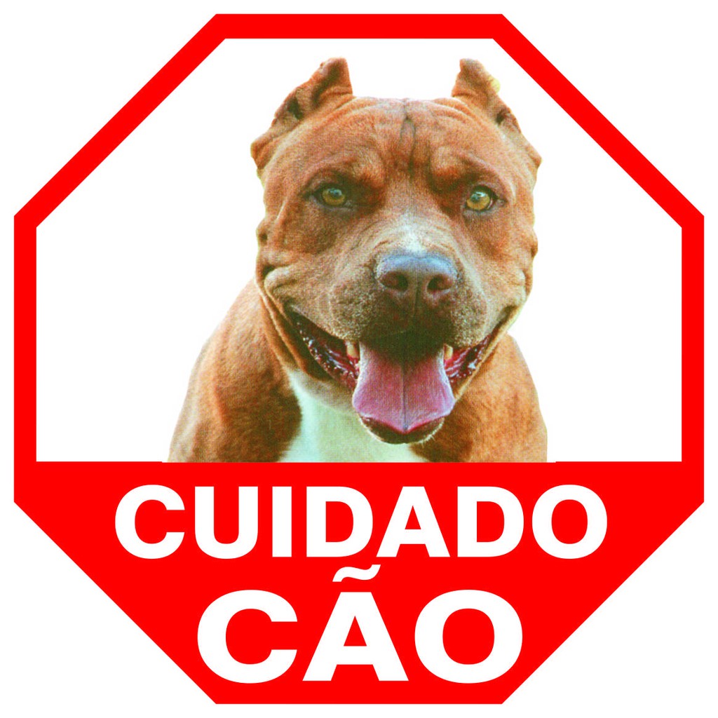 Placa De Advertência E Cuidado Cão Bravo Placa de Cão Bravo Para PitBull ENVIO EM 24 HORAS APÓS PAGAMENTO