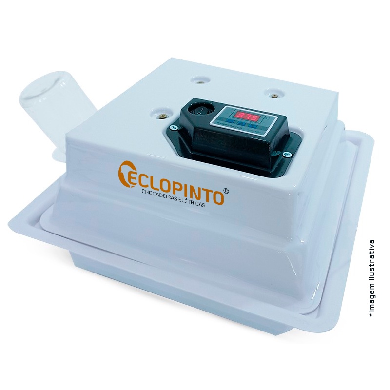 Chocadeira Eclopinto - 30 Ovos (Plástica)