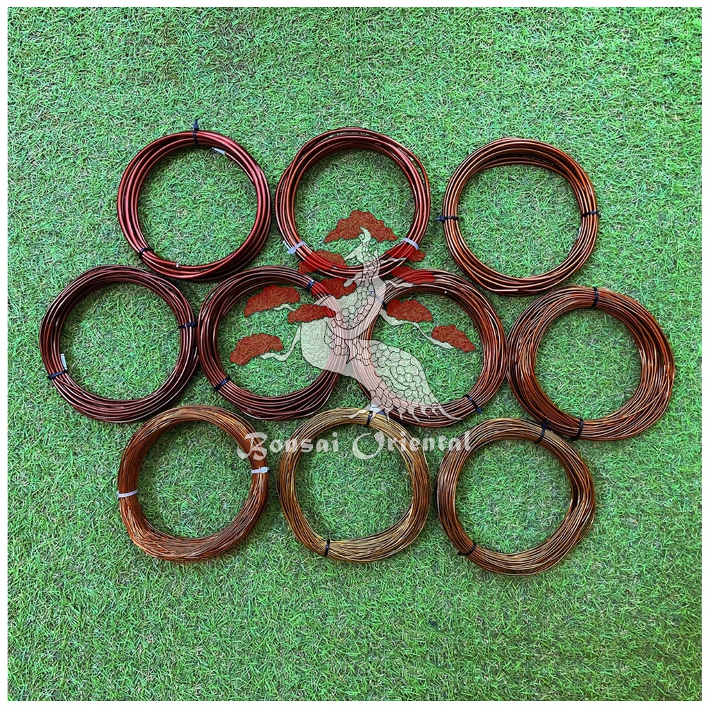 Arame de Alumínio Esmaltado para Bonsai 50g 0,7mm até 4,1mm Suculentas Plantas Artesanatos