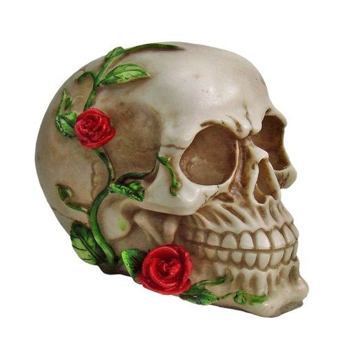 Caveira Rosa decorativa trepadeira Cranio resina decoracao