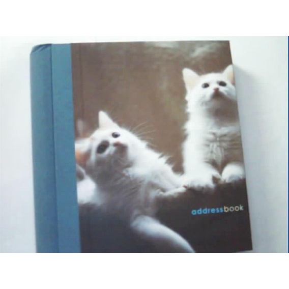 Cats & Kittens Address Book - Agenda De Endereços - Gatos - Ag25