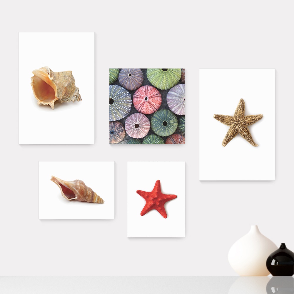 Kit 5 Quadros Decorativos Placas - Mar Concha Estrela do Mar Casa Quarto Sala - 039ktpl5