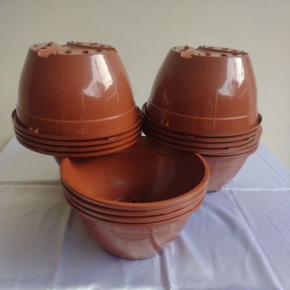 Kit 20 Vasos Cuias 21 nas cores Marrom ou Preta