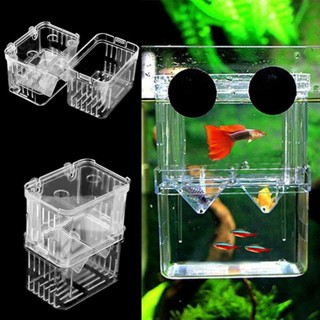 Criadeira Acrilica (caixa De Separação)para peixes 10x7x13 cm C x L x  A em Oferta na Shopee