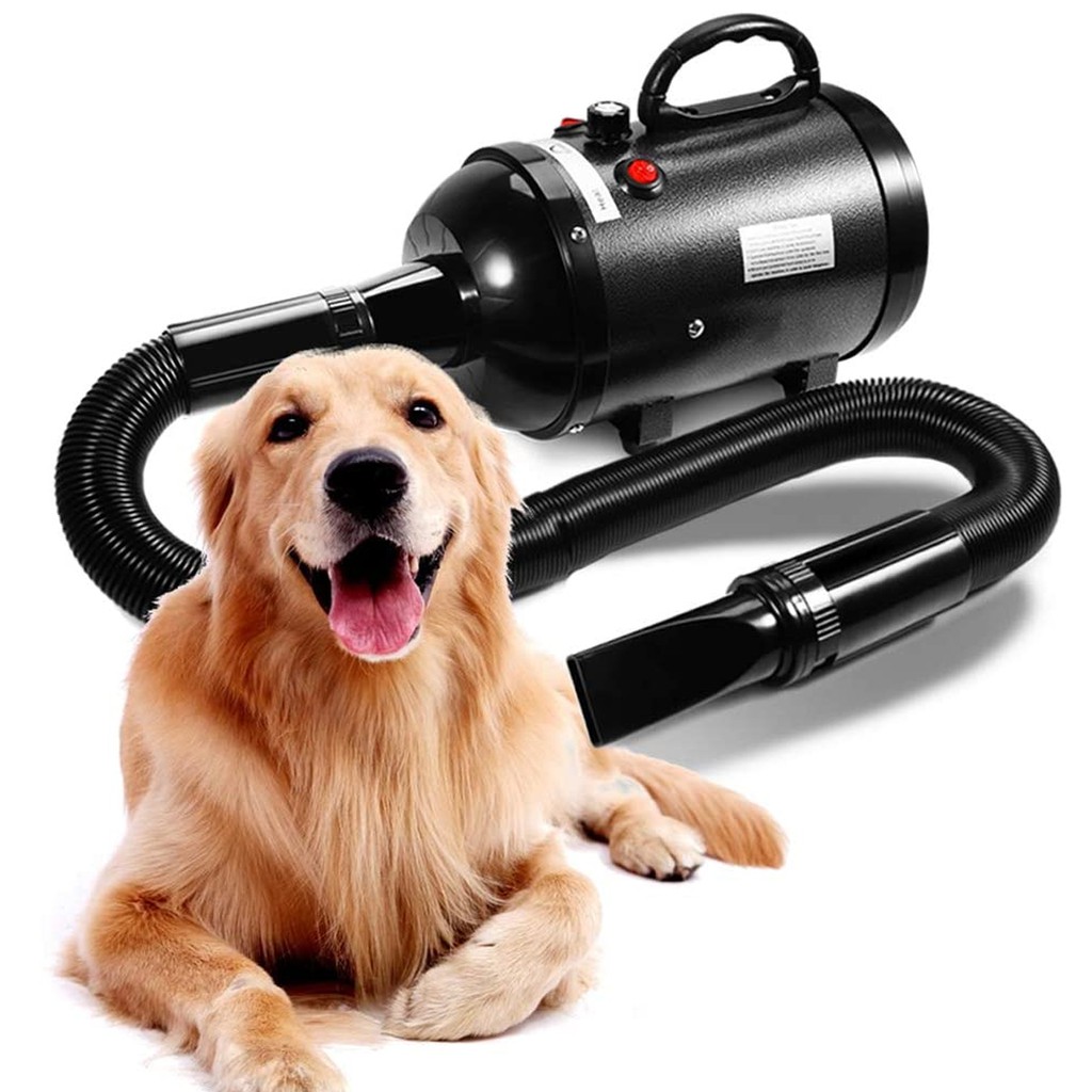 Soprador Secador 3200W Profissional Pet Shop Cachorro Gato Lorben em Oferta na Shopee