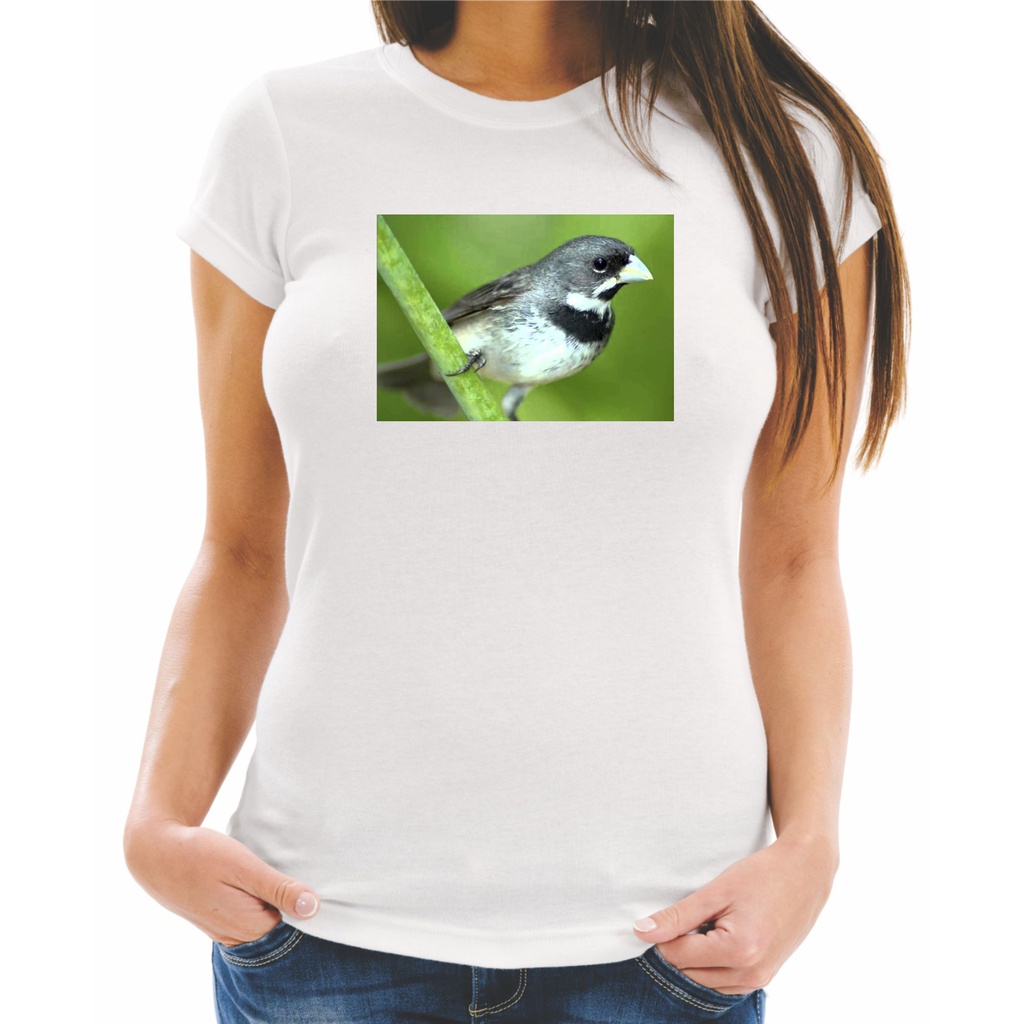 Camiseta Baby Look Feminina ou Camiseta Unissex ou Camiseta Infantil Estampa Animais Pássaros Coleiro 70