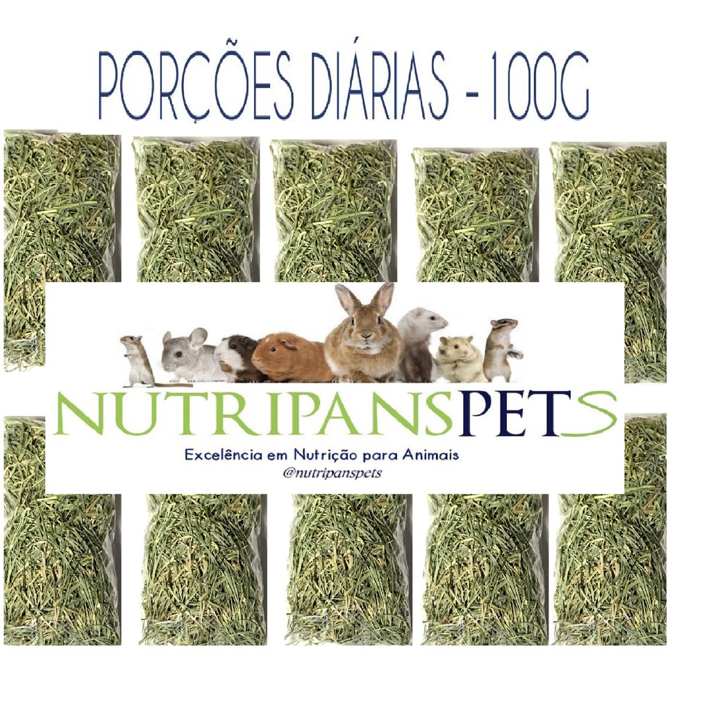 Kit Diário 10 Pactes 100G Feno in Natura + 02 Pactes 100G Feno Saborizado- Nutripanspets em Oferta na Shopee
