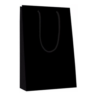 100 Sacolas De Papel Preta 25x17x6cm Bolsa Festa em Oferta na Shopee