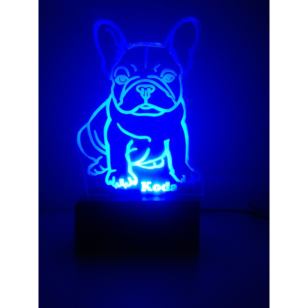 Bull Dog Frances: Onde Comprar | BuscaProdutos