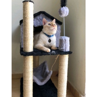 Arranhador de gato casa 2 andares com rede grande em Oferta na Shopee