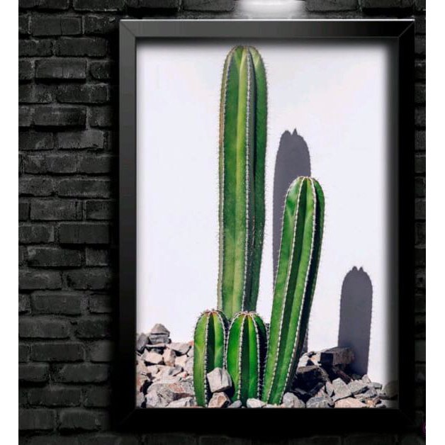 Quadro Decorativo De Cactos - Cacto - Flores E Folhas - Verde E Esperança- Sertão - Mais Vendido - Jardim -