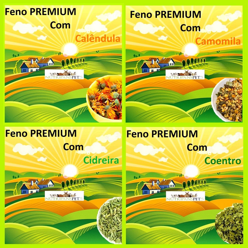 kit degustação 4 sabores de ervas Feno PREMIUM com ervas sabores Camomila Calendula Cidreira Coentro em Oferta na Shopee