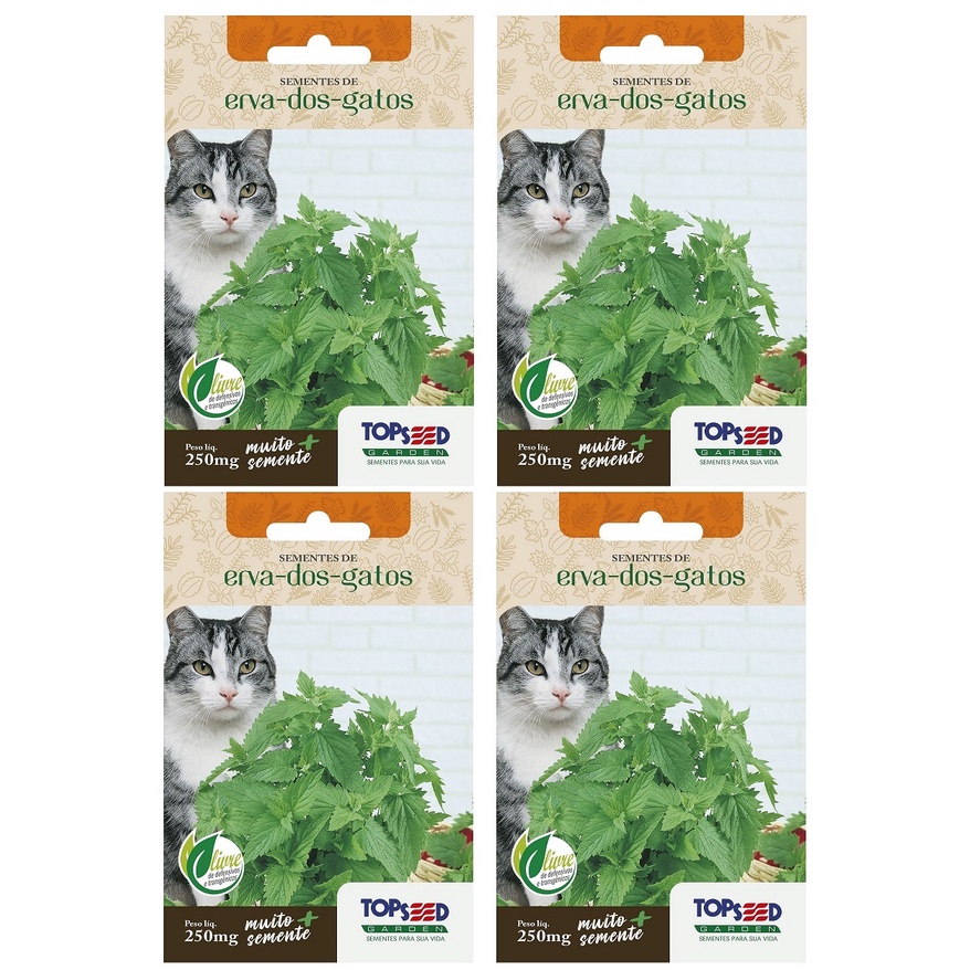 4X Sementes Erva Dos Gatos (Nepeta Cataria) Catnip TOPSEED