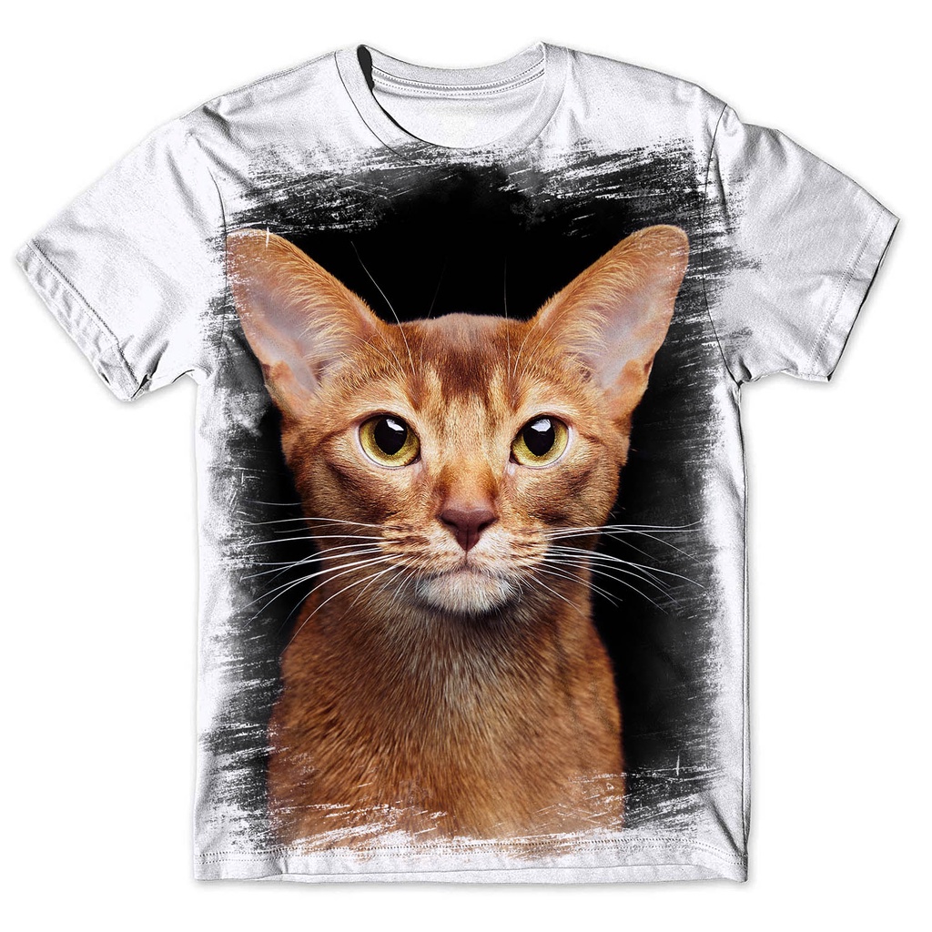 Gato Abissinio: Guia Completo e Onde Comprar | BuscaProdutos