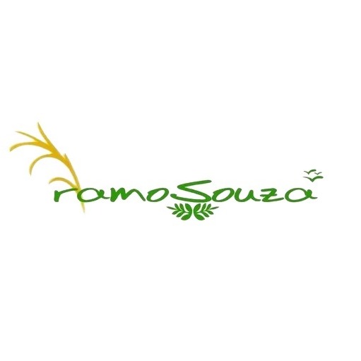 RAMOSOUZA EMBALAGENS eirelli