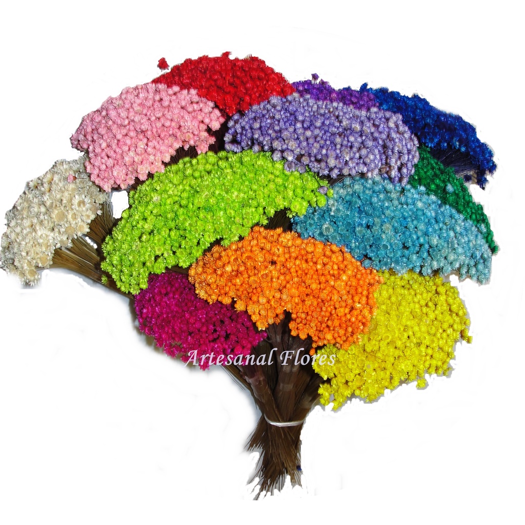 Flor Seca Sempre Viva Florzinhas para Lembrancinha. em Oferta na Shopee