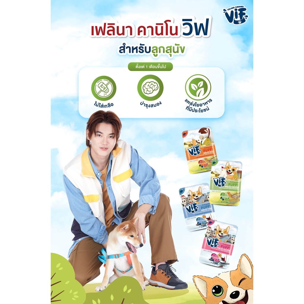 [12ซอง] Felina Canino VIF อาหารสุนัขแบบเปียก ชนิดซอง 75g - ภาพที่ 3
