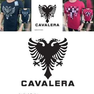 CAMISA MASCULINA PREMIUM 30.1 PRONTA ENTREGA ref 13 a 24