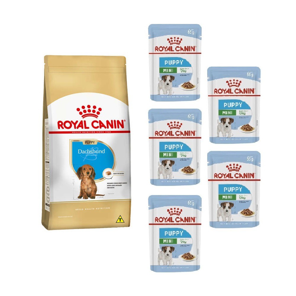 KIT RAÇÃO ROYAL CANIN RAÇA DACHSHUND PUPPY 2,5KG + 5 WET ROYAL CANIN MINI PUPPY 85G