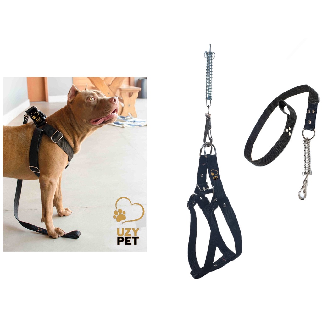 Coleira Para Cachorro Peitoral Com Guia Premium Uzy Pet Pitbull Golden Retriver Samoieda Pastor Alemão Labrador