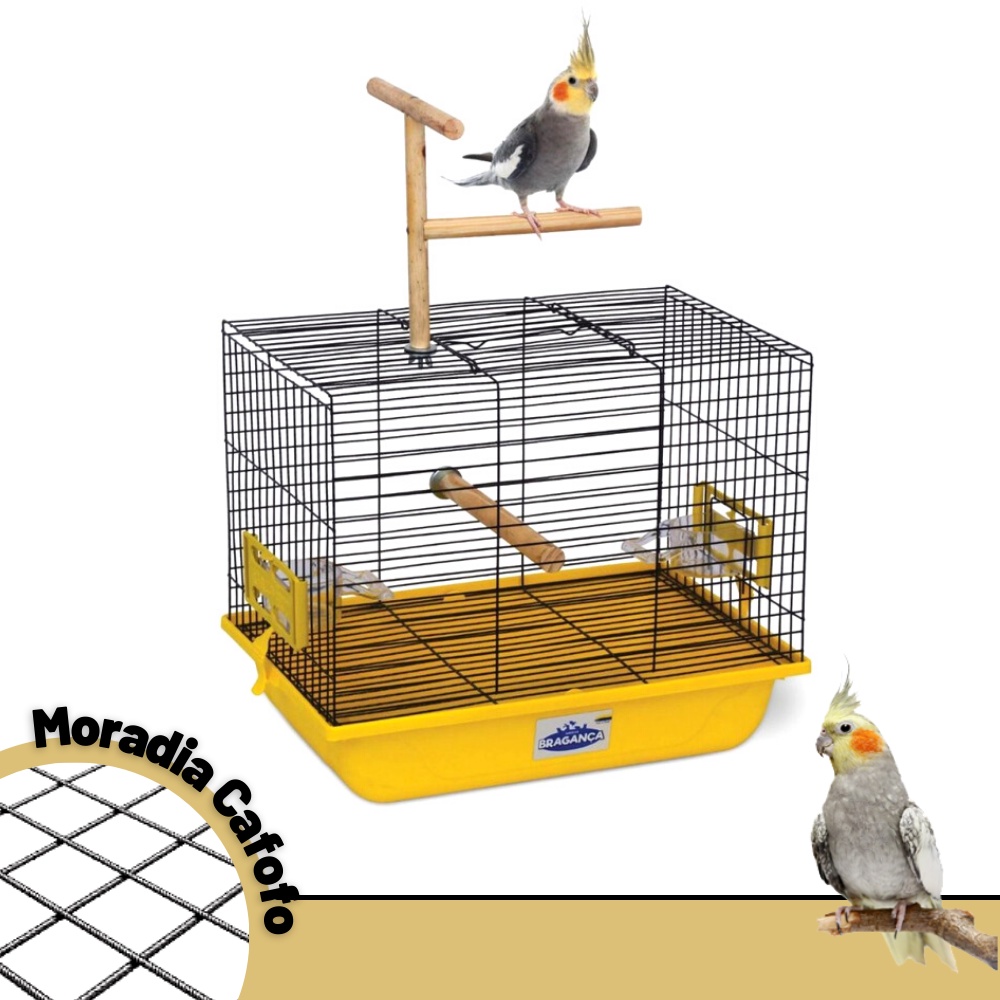 Calopsita Gaiola Viveiro Bragança Cafofo Poleiro Agapornis Ring Neck Ouro Velho Luxo Criadeira