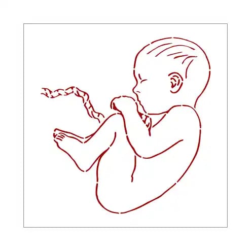 Moldes Desenho Para Pintura Gestacional Barriga Gestante Shopee Brasil