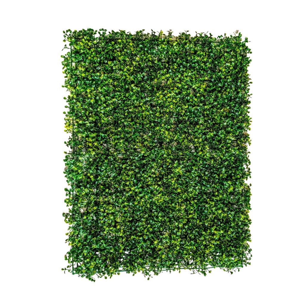 ￼(STANDART) Placa de Buchinho Grande 40X60 cm = Muro Inglês Artificial Verde Buchinho Jardim Vertical Buxinho