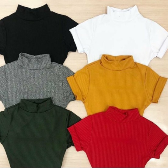 Cropped Blusa Com Gola Alta Canelado Blogueira Tendência Sem Bojo Moda Verão Feminino (Web Shop)