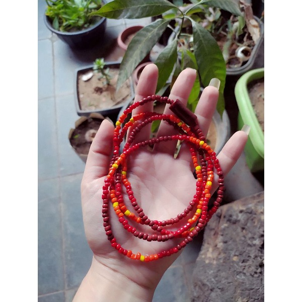 Guia de Boiadeiro Simples: Onde Comprar | BuscaProdutos