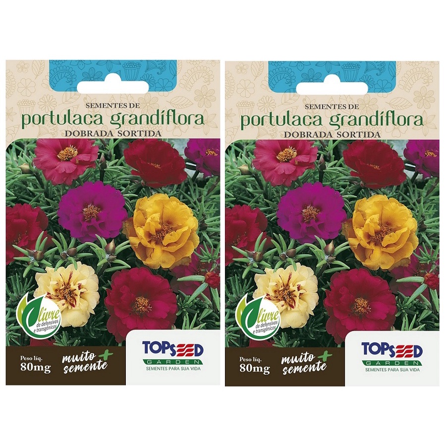 2X Sementes de Onze Horas (Portulaca Grandiflora) TOPSEED em Oferta na Shopee