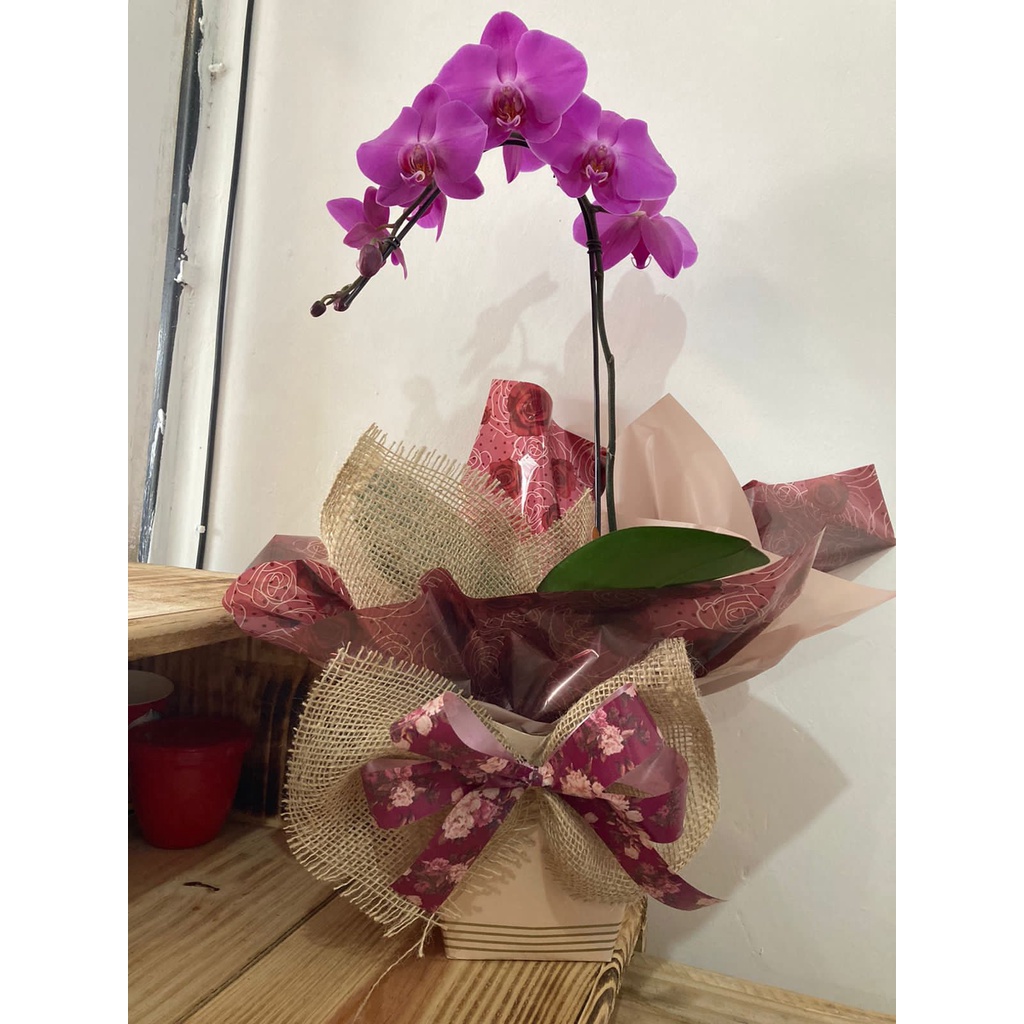 Arranjo Orquídea Natural | Shopee Brasil