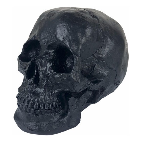 Cranio Caveira Tamanho Real Preto Black Skull Decorativo resina
