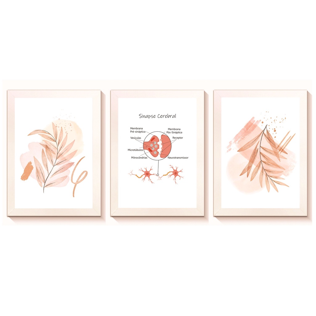 Kit 3 Quadros Snapse Cerebral Decoração Medicina para Consultório Clínica Hospital Neurologia