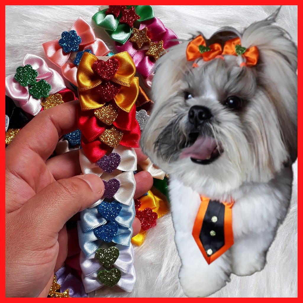 luz-la-os-pet-loja-online-shopee-brasil