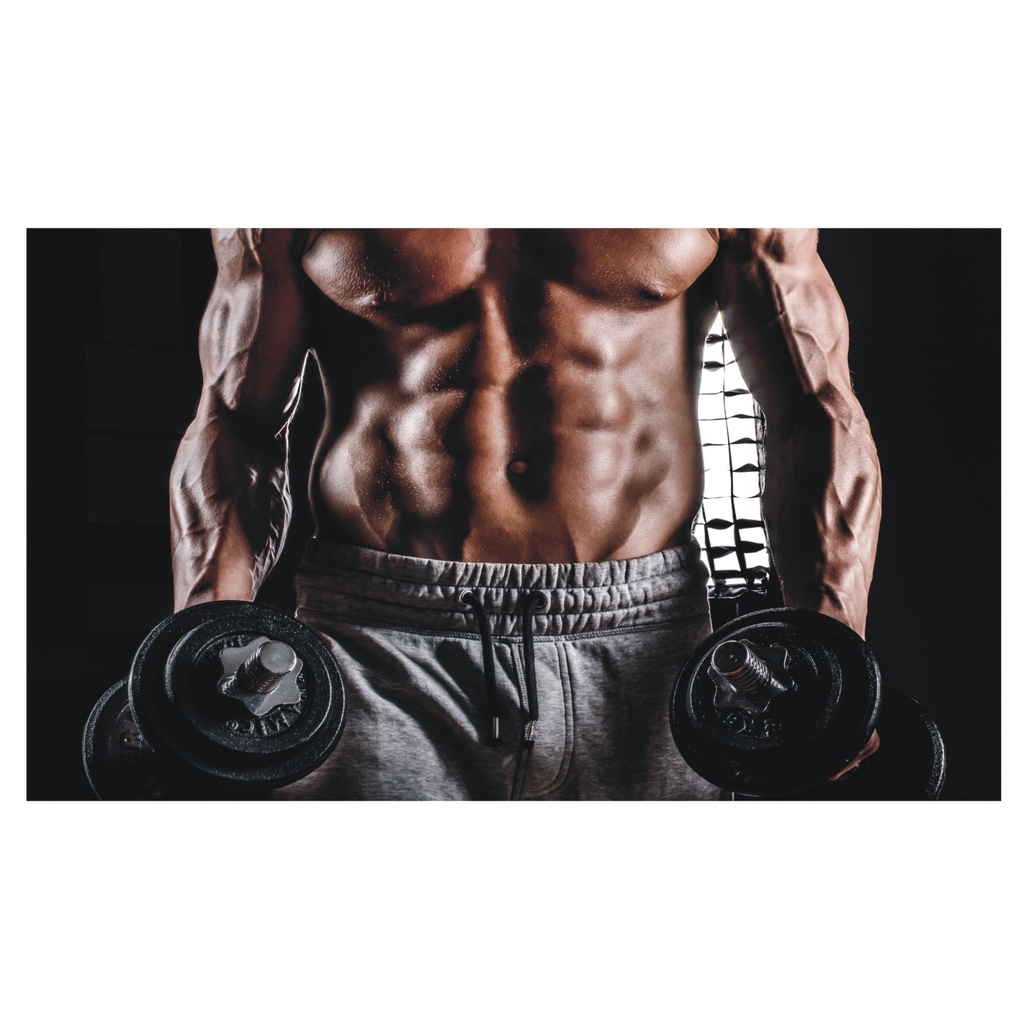 Adesivo De Parede Fitness Academia Pilates Musculação J 25