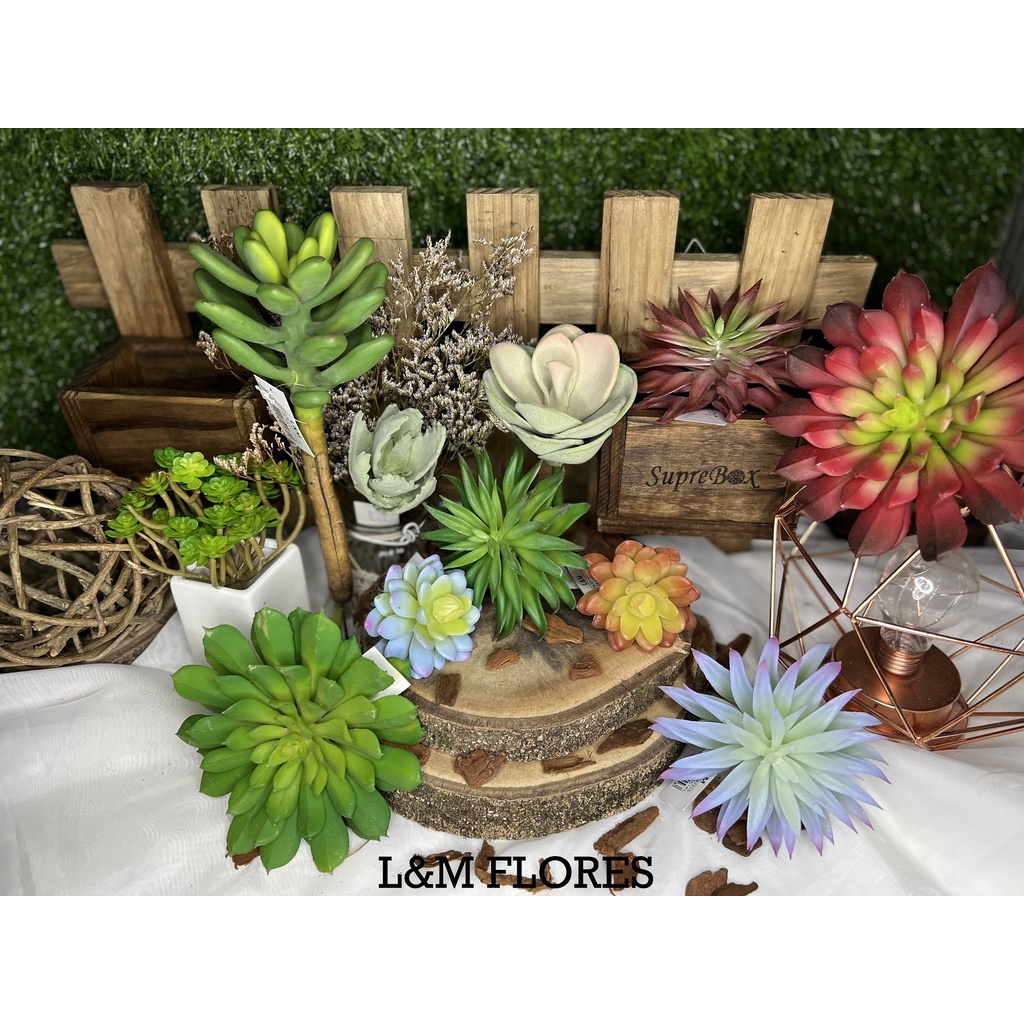 Suculentas/Cactos artificiais a unidade de tamanhos variados, perfeitos  para decorar sua casa, jardim, festas, arranjos e eventos | Shopee Brasil